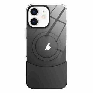 For iPhone 11 Slim Color Contrast MagSafe PC Transparent Phone Case(Black)