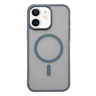 For iPhone 12 Frosted Skin Feel MagSafe Phone Case(Titanium Gray)