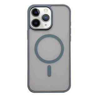 For iPhone 11 Pro Max Frosted Skin Feel MagSafe Phone Case(Titanium Gray)