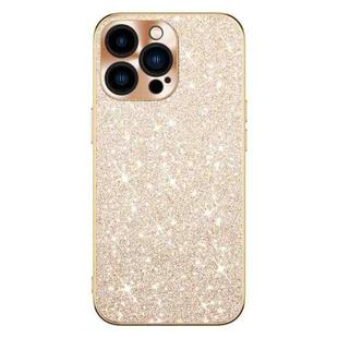 For iPhone 15 Pro Max Electroplating Star Diamond CD Texture Lens Ring Phone Case(Gold)