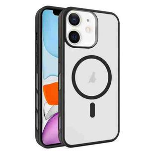 For iPhone 11 Frosted Translucent Side Ice Fog Cooling MagSafe Phone Case(Black)