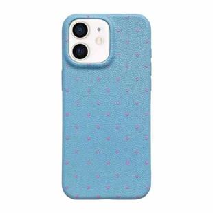 For iPhone 12 Dopamine Polka Dots Silicone Phone Case(Blue)