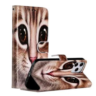 For iPhone 12 Pro Max Painted Pattern Horizontal Flip Leather Case with Holder & Card Slots & Photo Frame(Coffee Cat)