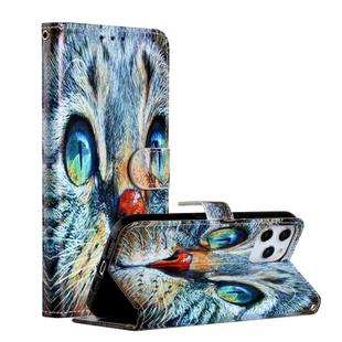 For iPhone 12 Pro Max Painted Pattern Horizontal Flip Leather Case with Holder & Card Slots & Photo Frame(Blue Cat)