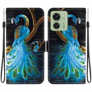 For Motorola Edge 40 Crystal Texture Colored Drawing Leather Phone Case(Peacock)