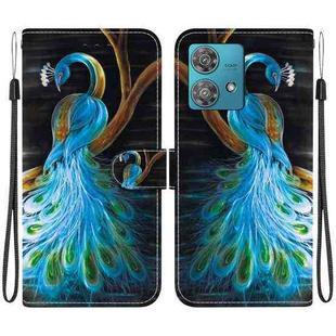 For Motorola Edge 40 Neo Crystal Texture Colored Drawing Leather Phone Case(Peacock)