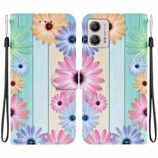 For Motorola Moto G13 / G23 / G53 Crystal Texture Colored Drawing Leather Phone Case(Sunflowers)