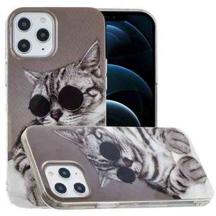 For iPhone 12 Pro Max Painted Pattern TPU Protective Case(Glasses Cat)