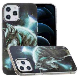 For iPhone 12 Pro Max Painted Pattern TPU Protective Case(Night Sky Wolf)