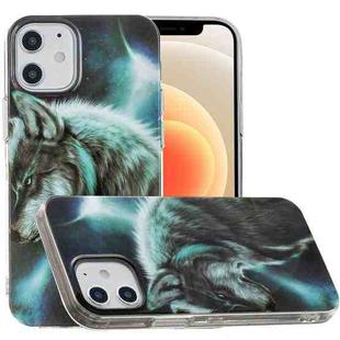 For iPhone 12 mini Painted Pattern TPU Protective Case(Night Sky Wolf)