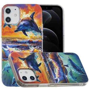 For iPhone 12 / 12 Pro Painted Pattern TPU Protective Case(Sunset Dolphin)