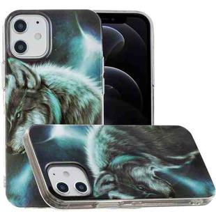 For iPhone 12 / 12 Pro Painted Pattern TPU Protective Case(Night Sky Wolf)