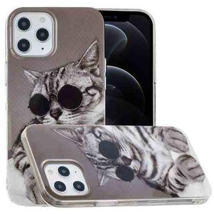 For iPhone 12 / 12 Pro Painted Pattern TPU Protective Case(Glasses Cat)