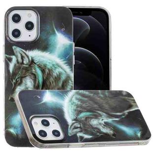 For iPhone 12 / 12 Pro Painted Pattern TPU Protective Case(Night Sky Wolf)