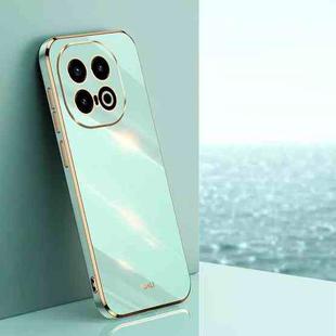 For vivo iQOO 13 XINLI Straight 6D Plating Gold Edge TPU Phone Case(Mint Green)
