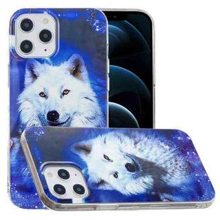 For iPhone 12 Pro Max Luminous TPU Soft Protective Case(Starry Sky Wolf)