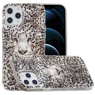 For iPhone 12 Pro Max Luminous TPU Soft Protective Case(Leopard Tiger)