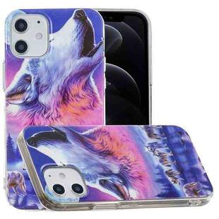 For iPhone 12 / 12 Pro Luminous TPU Soft Protective Case(Seven Wolves)