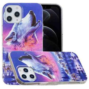 For iPhone 12 / 12 Pro Luminous TPU Soft Protective Case(Seven Wolves)