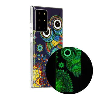 For Samsung Galaxy Note20 Ultra Luminous TPU Soft Protective Case(Blue Owl)