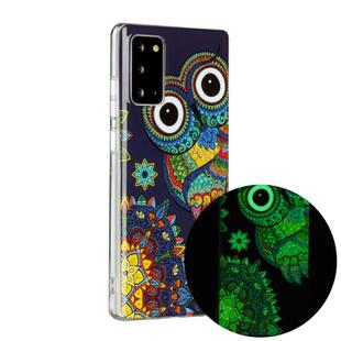 For Samsung Galaxy Note20 Luminous TPU Soft Protective Case(Blue Owl)