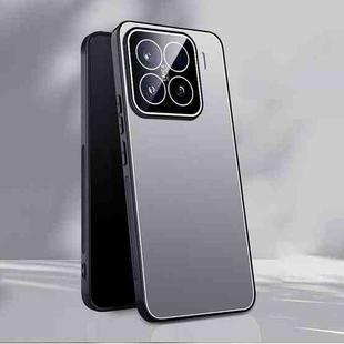 For Xiaomi 15 Ice Aluminum Metal Explosion-proof Frosted Phone Case(Silver)