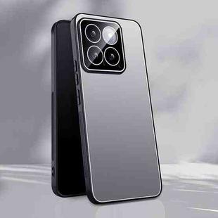 For Xiaomi 14 Pro Ice Aluminum Metal Explosion-proof Frosted Phone Case(Silver)