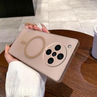 For OPPO Find X8 Pro Fine Hole Ice Fog MagSafe PC Phone Case(Gold)