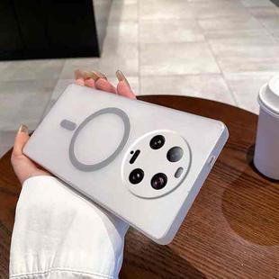 For Xiaomi 13 Ultra Fine Hole Ice Fog MagSafe PC Phone Case(Titanium Grey)