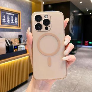 For iPhone 15 Pro Max Fine Hole Ice Fog MagSafe PC Phone Case(Gold)