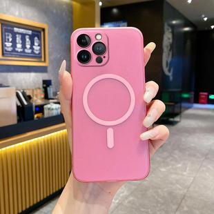 For iPhone 13 Pro Max Fine Hole Ice Fog MagSafe PC Phone Case(Pink)