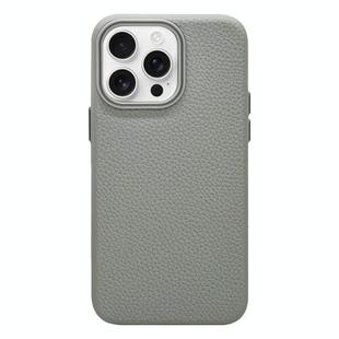 For iPhone 12 Pro Max Litchi Texture TPU Phone Case(Grey)