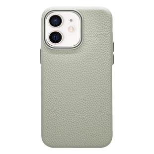 For iPhone 11 Litchi Texture TPU Phone Case(Rock White)