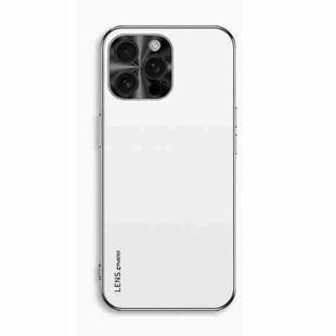 For iPhone 15 Pro Max AG Frosted Electroplating Acrylic Phone Case(Silver White)
