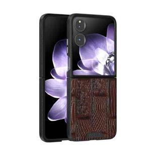 For Xiaomi Mix Flip ABEEL Beast Pattern 6D Micro-Embossed MagSafe Genuine Leather Phone Case(Brown)