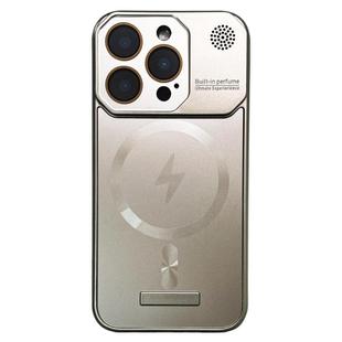 For iPhone 13 Pro Max Frameless Aromatherapy MagSafe Magnetic PC Phone Case(Titanium Grey)