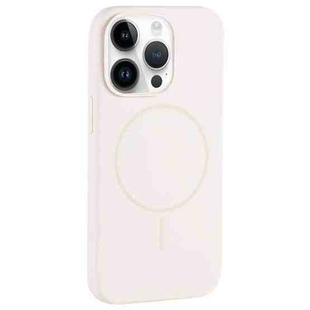 For iPhone 13 Pro Max Large Hole Camera MagSafe Liquid Silicone Full Coverage Phone Case(Antique White)