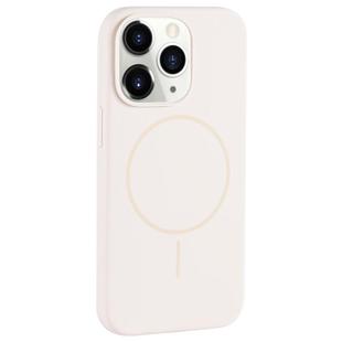 For iPhone 11 Pro Max Large Hole Camera MagSafe Liquid Silicone Full Coverage Phone Case(Antique White)