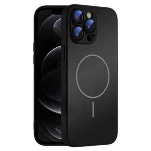 For iPhone 12 Pro Thin Circle MagSafe Skin-feel AG Glass Phone Case(Black)