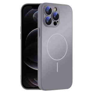 For iPhone 12 Pro Thin Circle MagSafe Skin-feel AG Glass Phone Case(Titanium Gray)