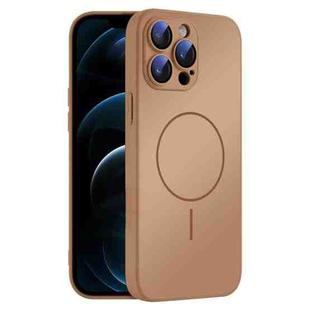 For iPhone 12 Pro Max Thin Circle MagSafe Skin-feel AG Glass Phone Case(Desert Gold)