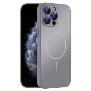 For iPhone 11 Pro Max Thin Circle MagSafe Skin-feel AG Glass Phone Case(Titanium Gray)