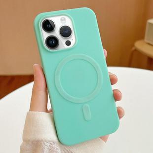 For iPhone 13 Pro Max Stripe MagSafe TPU Phone Case(Mint Green)