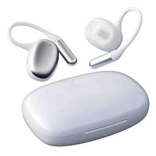 F20 Ear-Hook ANC Noise Reduction BT 5.4 IPX5 Wireless Earphones(White)