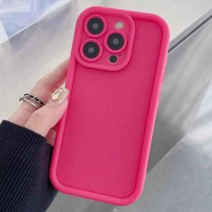 For iPhone 15 Pro Max Shockproof Frame Frosted Precise Hole TPU Phone Case(Rose Red)