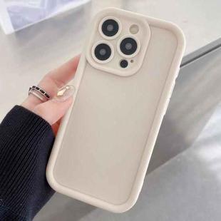 For iPhone 13 Pro Max Shockproof Frame Frosted Precise Hole TPU Phone Case(White)