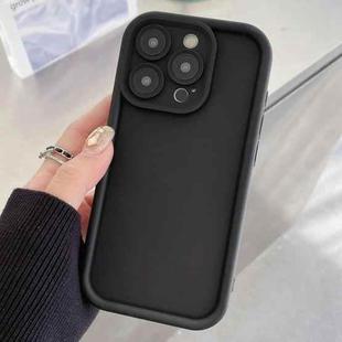 For iPhone 13 Pro Max Shockproof Frame Frosted Precise Hole TPU Phone Case(Black)
