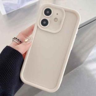 For iPhone 11 Shockproof Frame Frosted Precise Hole TPU Phone Case(White)