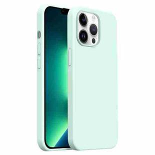 For iPhone 13 Pro Max Burom Cloud Sensing Ultra-thin Liquid Silicone Full Coverage Phone Case(Mambo Green)