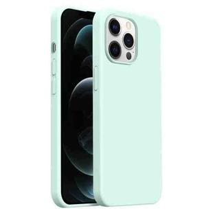 For iPhone 12 Pro Max Burom Cloud Sensing Ultra-thin Liquid Silicone Full Coverage Phone Case(Mambo Green)
